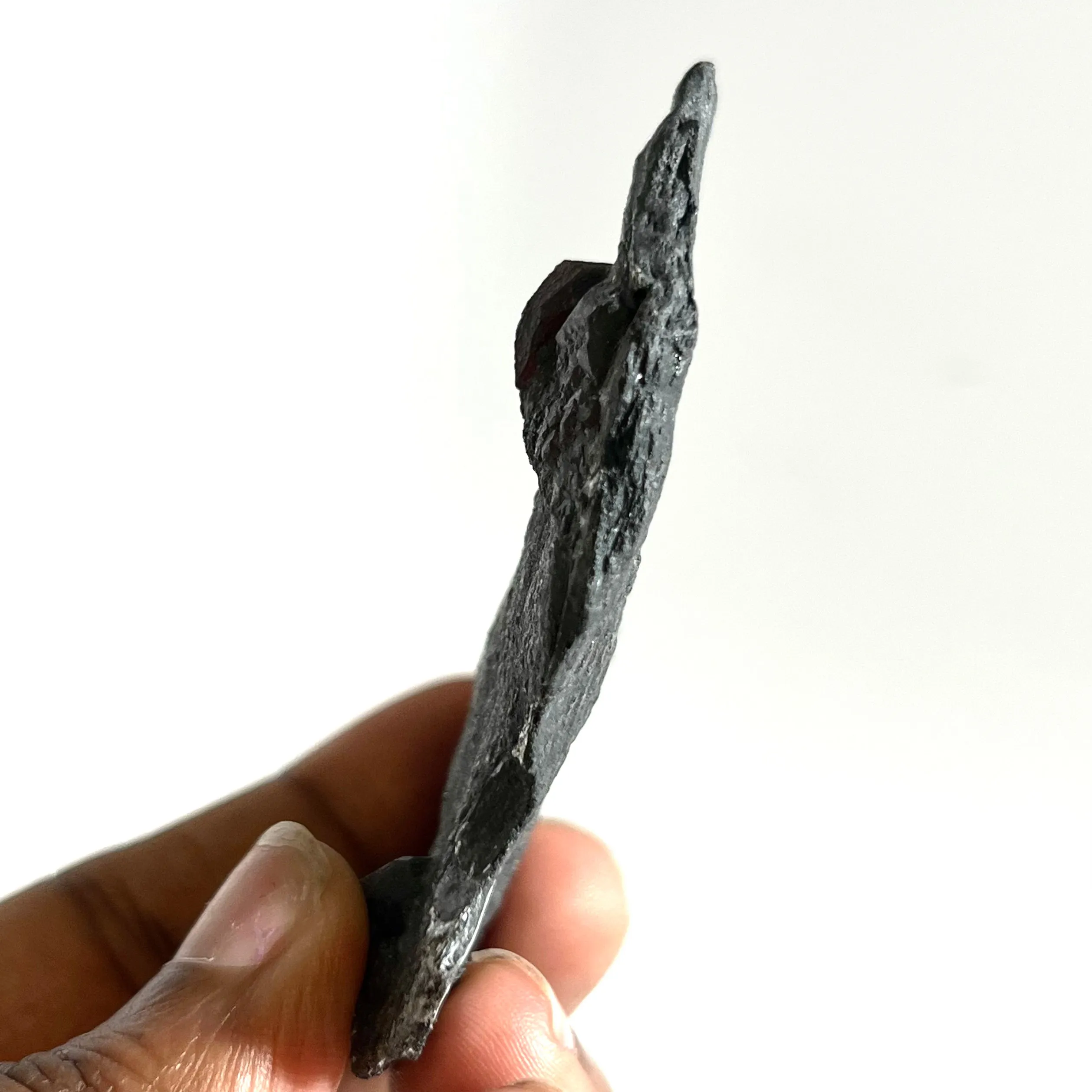 Almandine Garnet on Graphite, Red Embers Mine, Erving, Franklin County, Massachusetts, USA