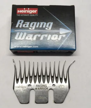 Raging Warrior