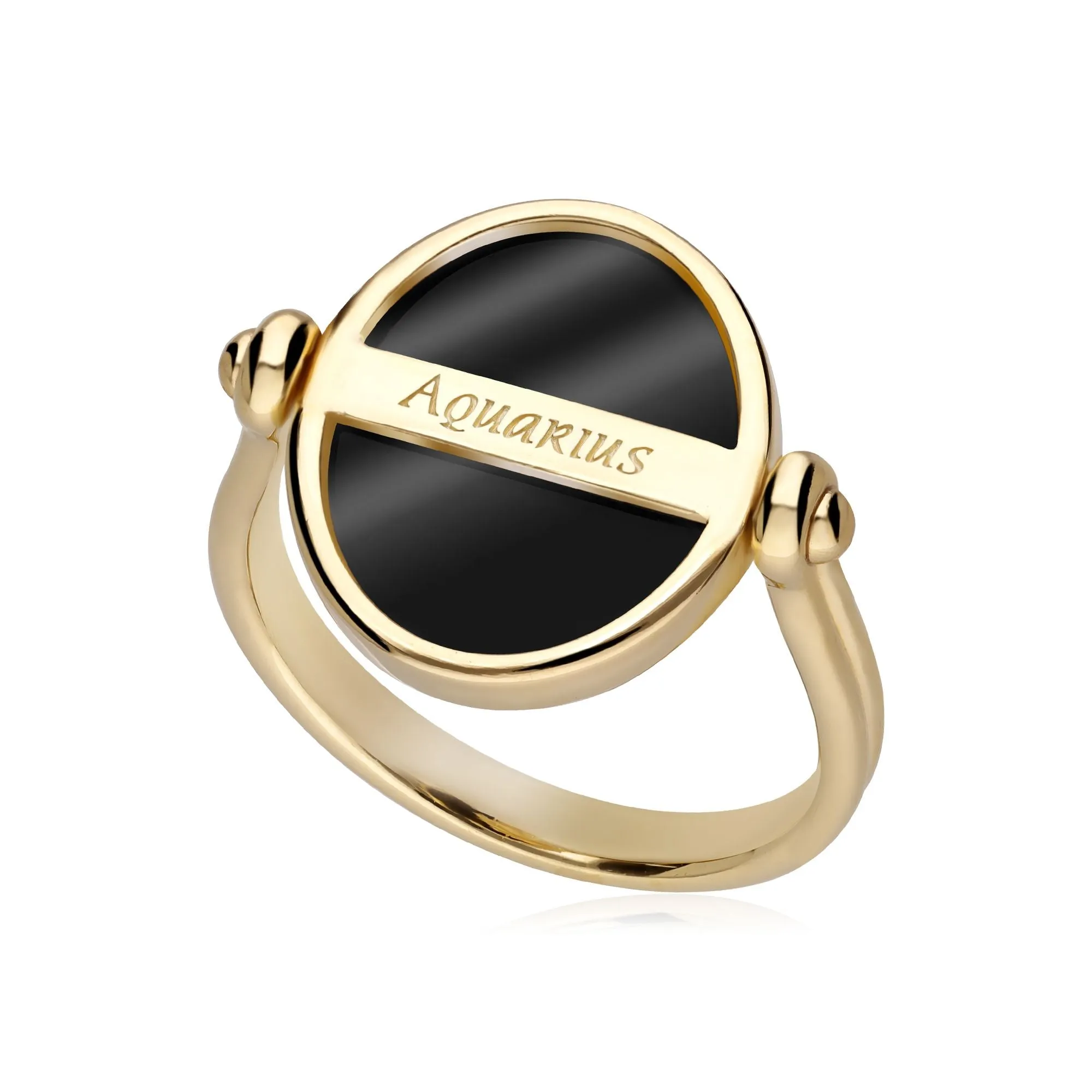 Sternzeichen Wasserman Schwarzer Onyx Flip Ring