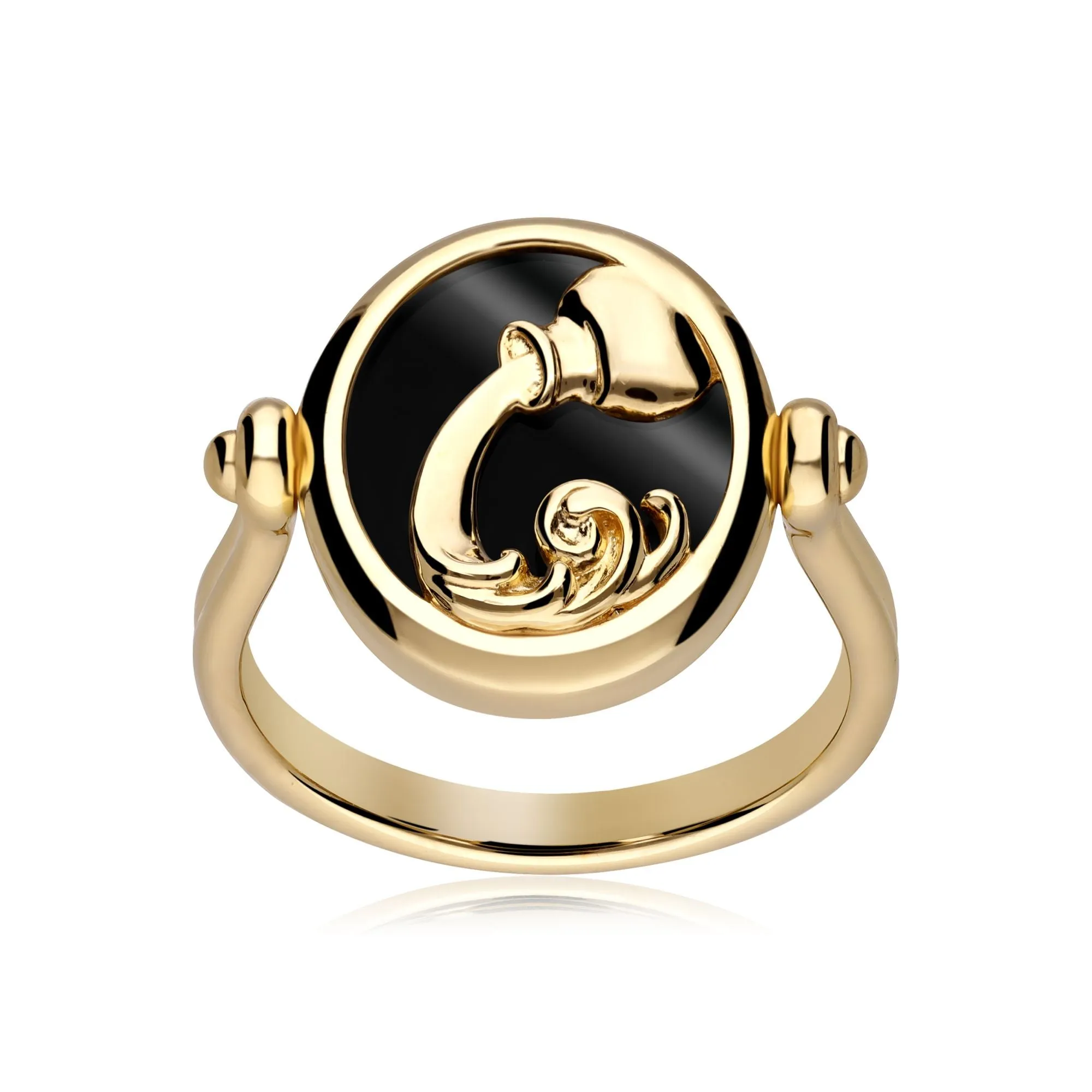 Sternzeichen Wasserman Schwarzer Onyx Flip Ring