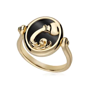 Sternzeichen Wasserman Schwarzer Onyx Flip Ring