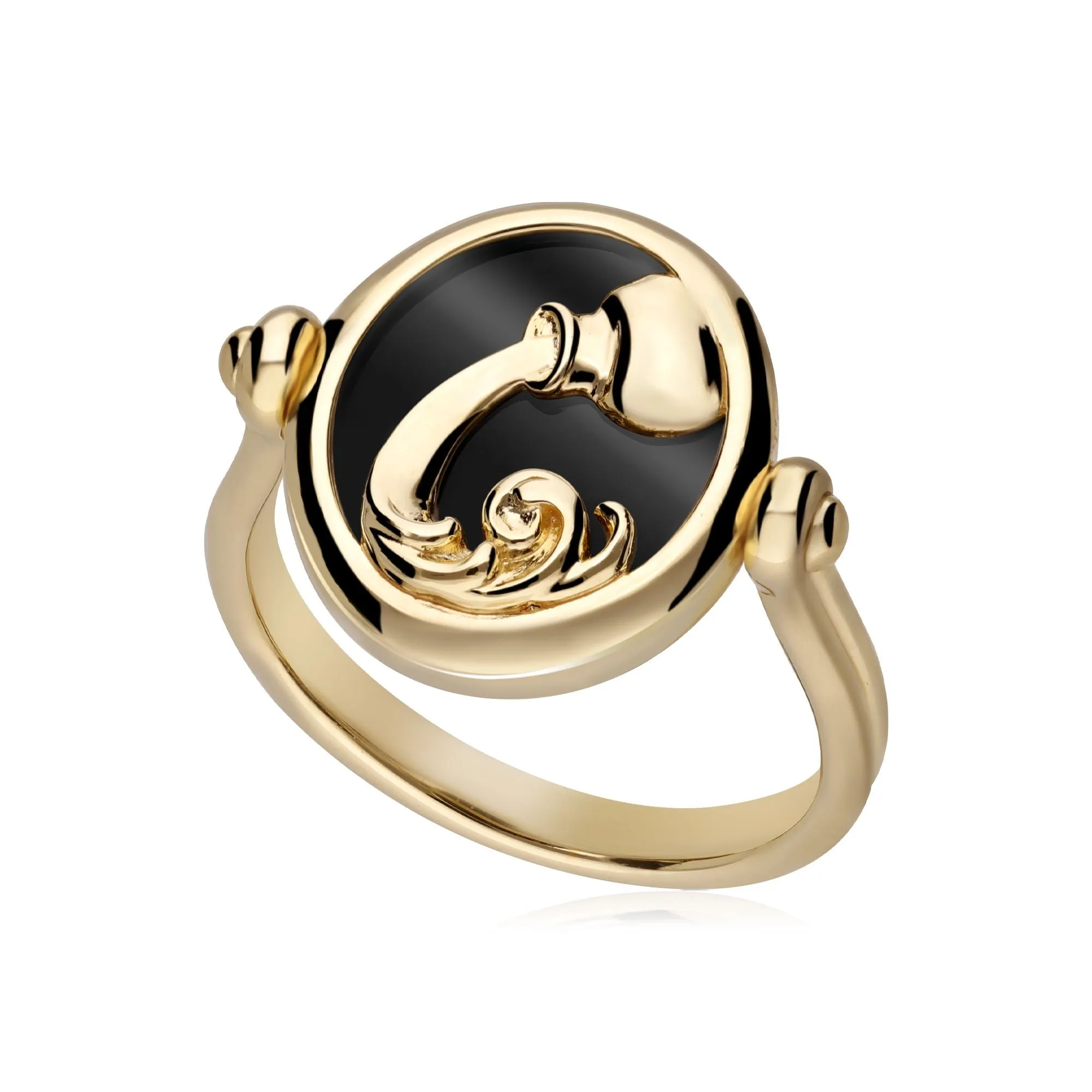Sternzeichen Wasserman Schwarzer Onyx Flip Ring