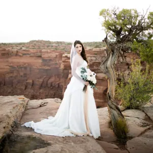 Waltz Length Raw Edge Veil